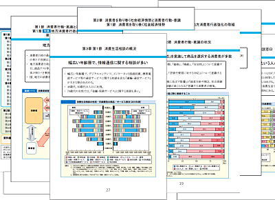 ２０１６年版消費者白書